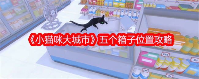 小猫咪大城市五个箱子位置攻略