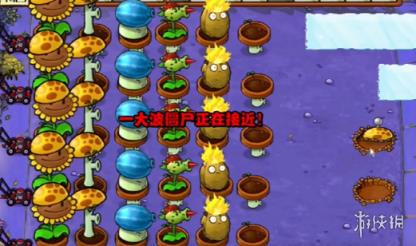 植物大战僵尸杂交版冒险模式第10关攻略