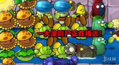 植物大战僵尸杂交版冒险模式第31关攻略
