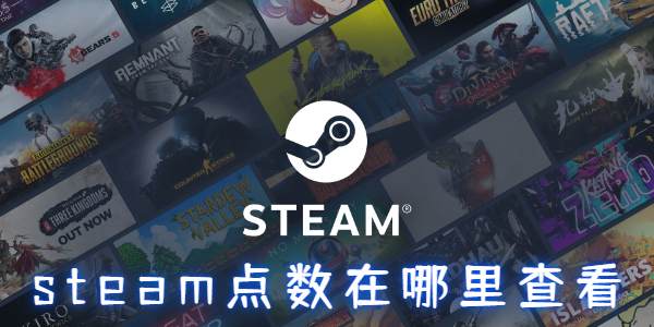 steam点数在哪里查看